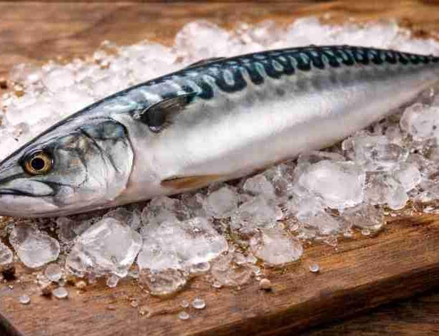 Jaunas tarifu kvotas Kaboverdes izcelsmes zivīm