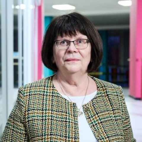 Pašnodarbinātās personas ienākumu aplikšana ar nodokļiem