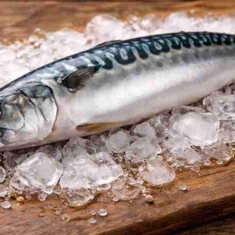 Jaunas tarifu kvotas Kaboverdes izcelsmes zivīm