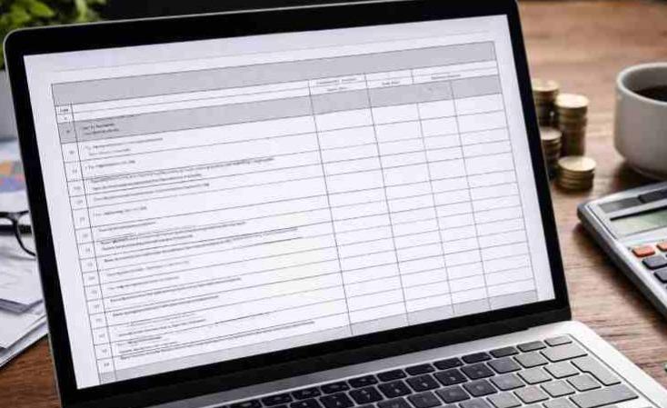 VID EDS vienkāršota 2025.gada ienākumu deklarācijas forma